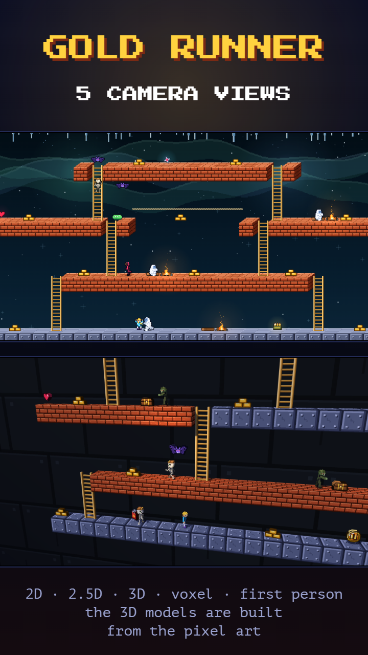The 2.5D and voxel camera views